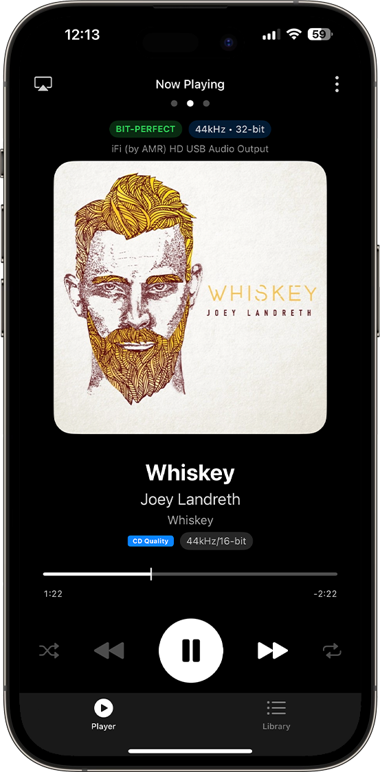 Artic Audio Player showing Joey Landreth's Whiskey album with high-quality audio playback